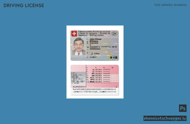 Beispiel für einen Schweizer Führerschein